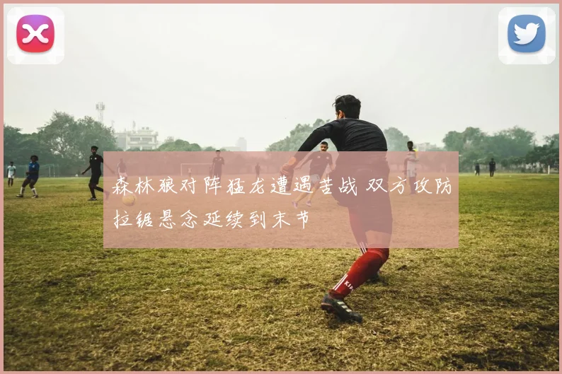 森林狼对阵猛龙遭遇苦战 双方攻防拉锯悬念延续到末节