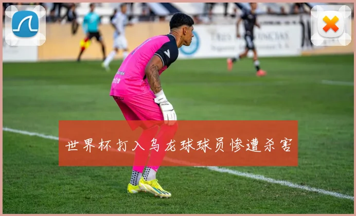 世界杯打入乌龙球球员惨遭杀害