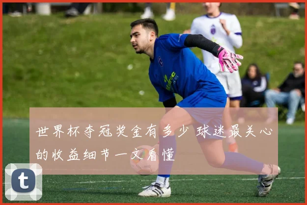 世界杯夺冠奖金有多少 球迷最关心的收益细节一文看懂