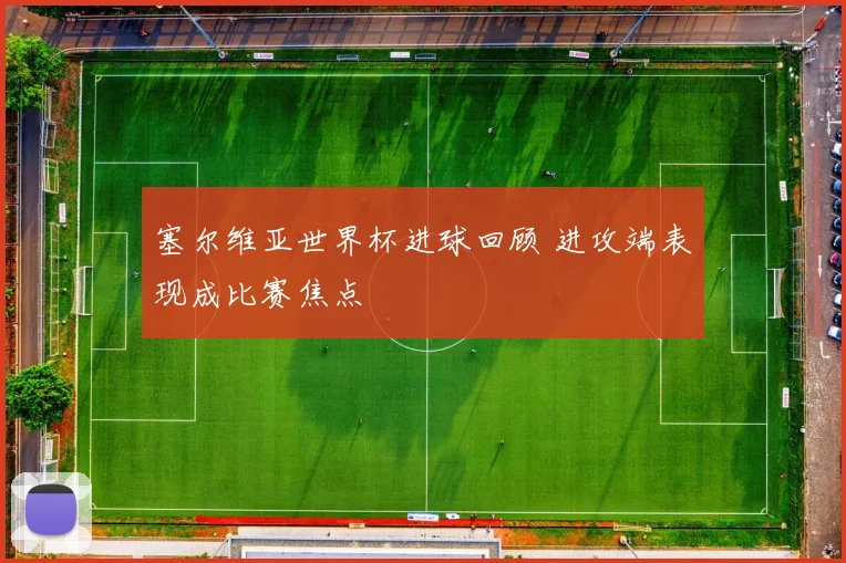 塞尔维亚世界杯进球回顾 进攻端表现成比赛焦点