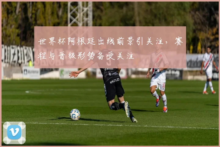 世界杯阿根廷出线前景引关注,赛程与晋级形势备受关注